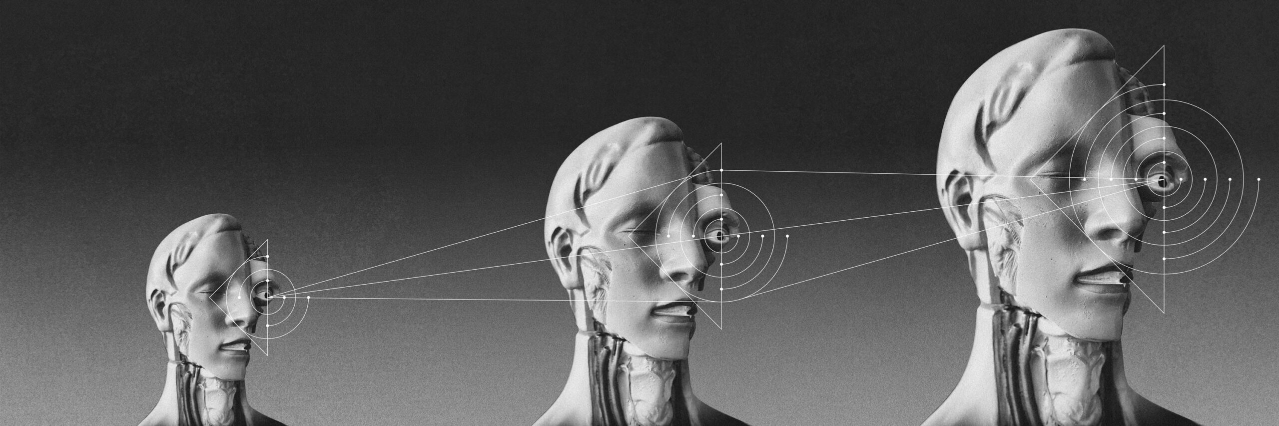 Face_Anatomy_Full_Grid_Common