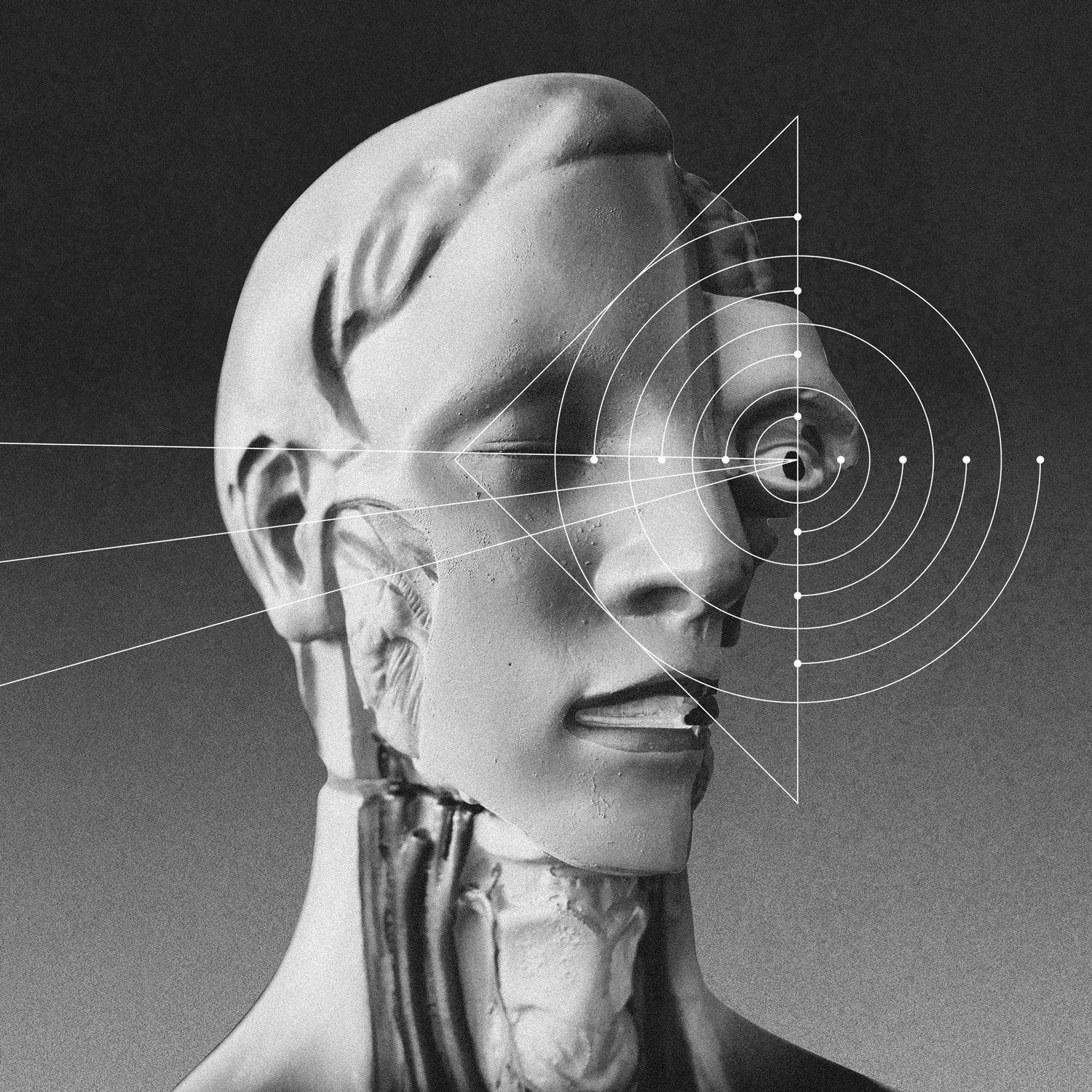 Face_Anatomy_Part_Grid_03